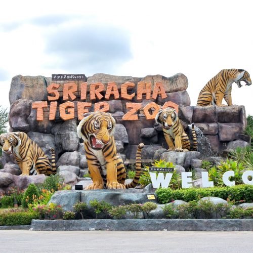 Sriracha Tiger Farm